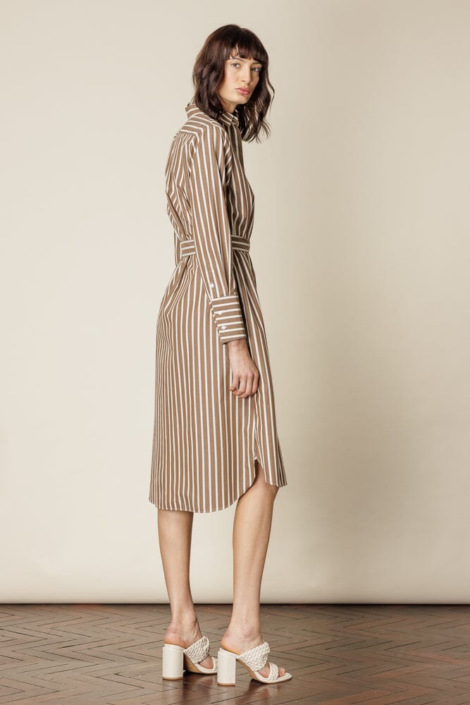 The Hampton Shirt Dress - Camel Stripe